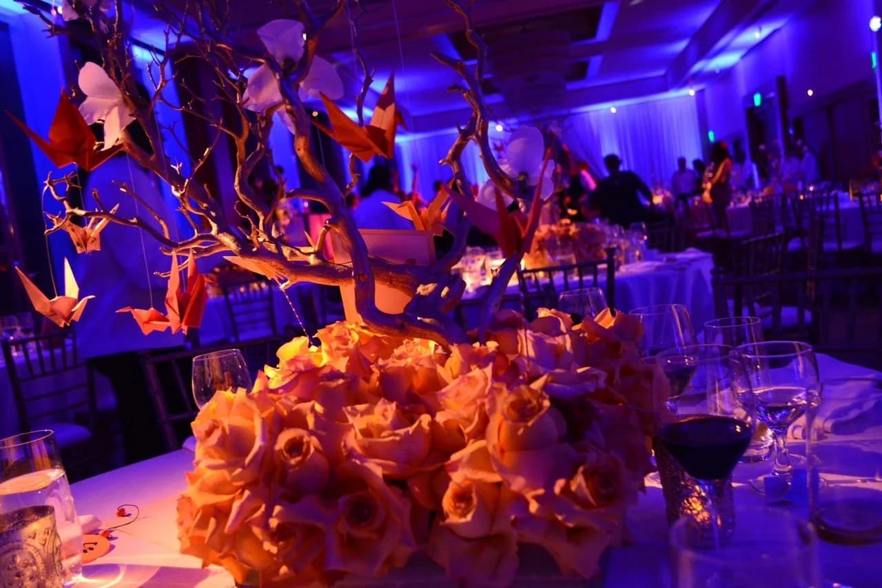 Wedding celebration produced by Just Dance Events